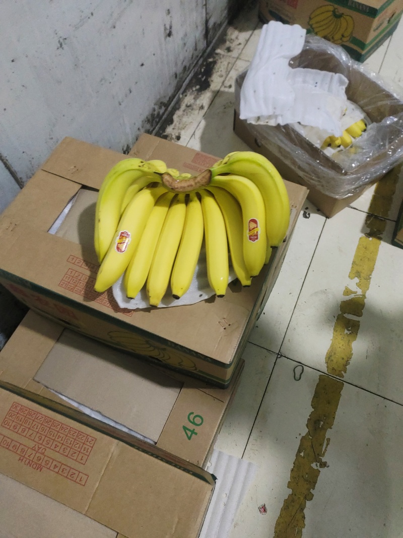 【特价推荐】上海精品香蕉产地直发品质保障量大从优可视频