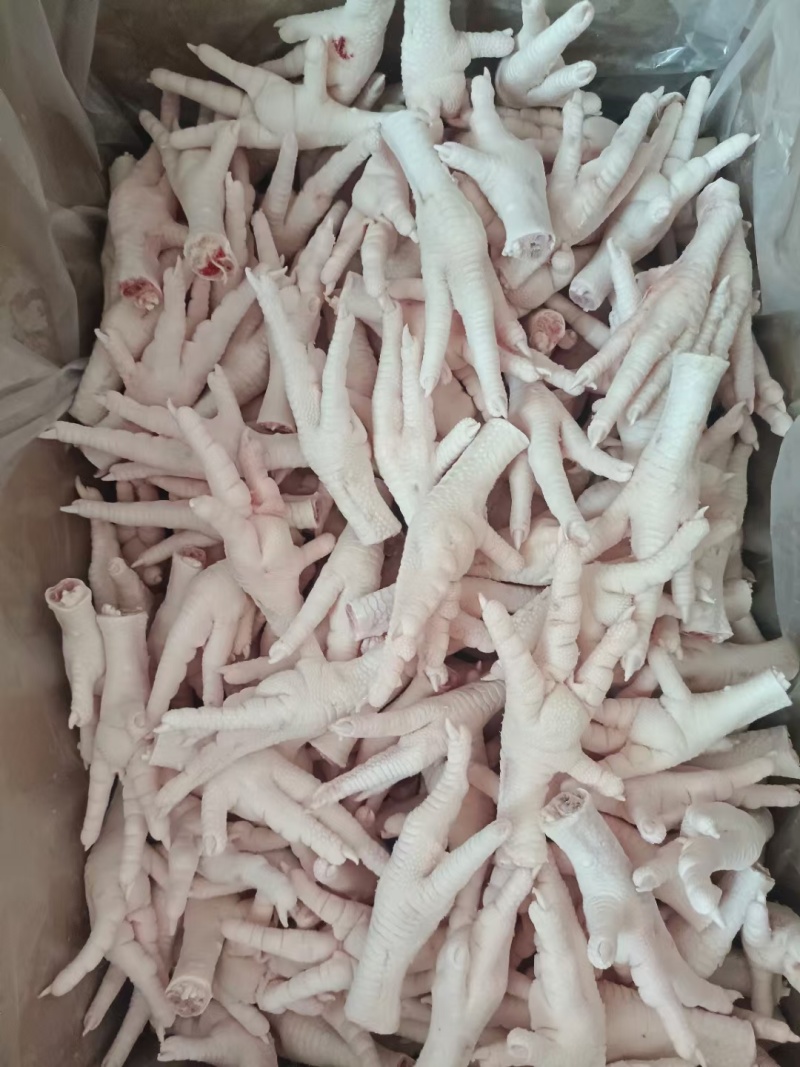 凤爪大小都有规格齐全全国发货量大从优证件齐全