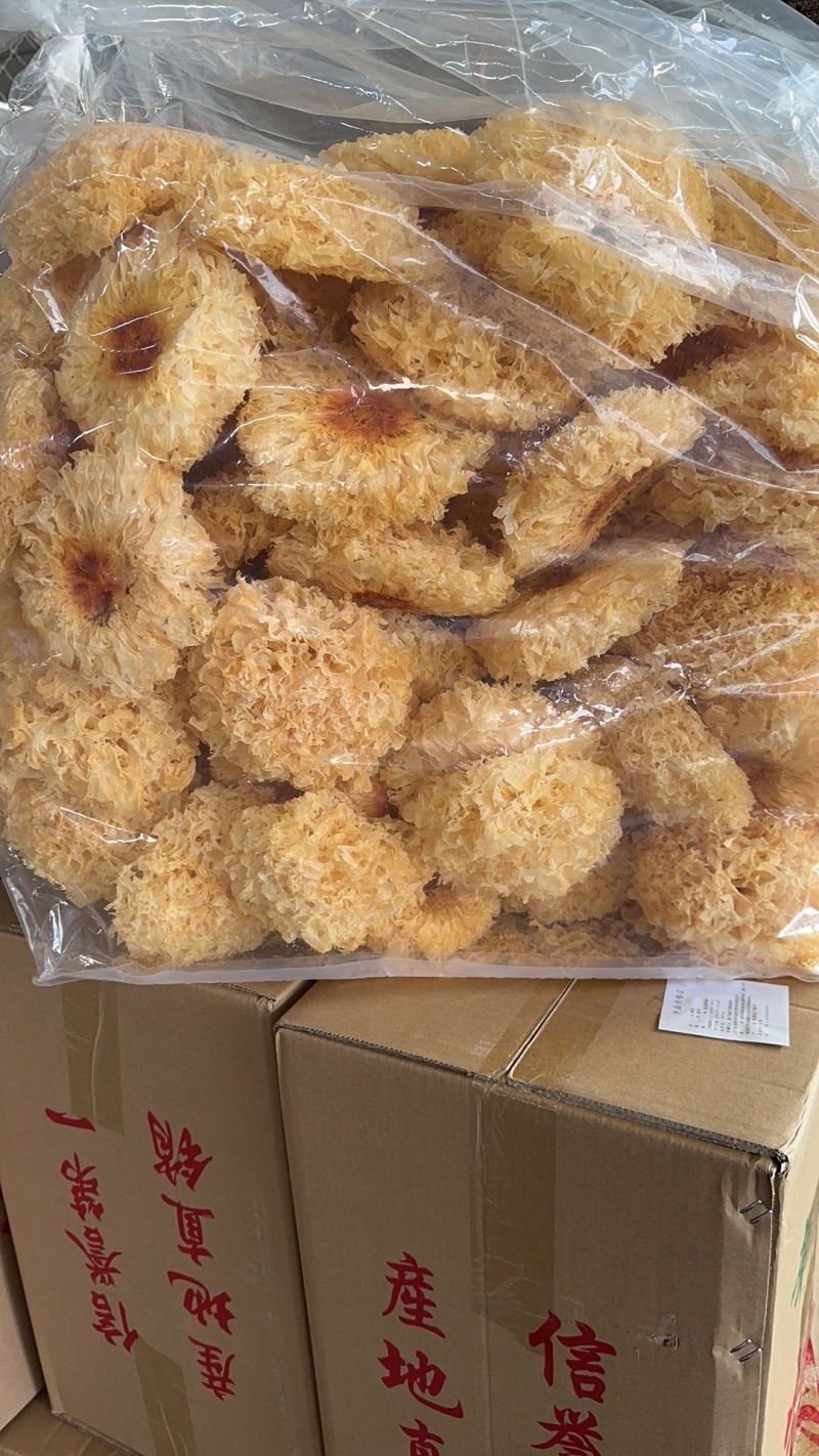 新鲜滕州银耳，产地直供，口感鲜美，营养丰富，**特惠！