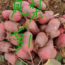 凤梨罗卜