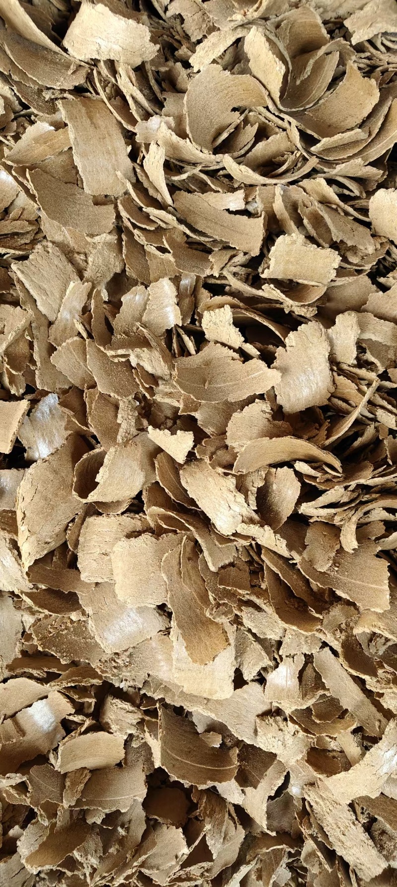 高温，豆饼，油脂20个，蛋白40个，