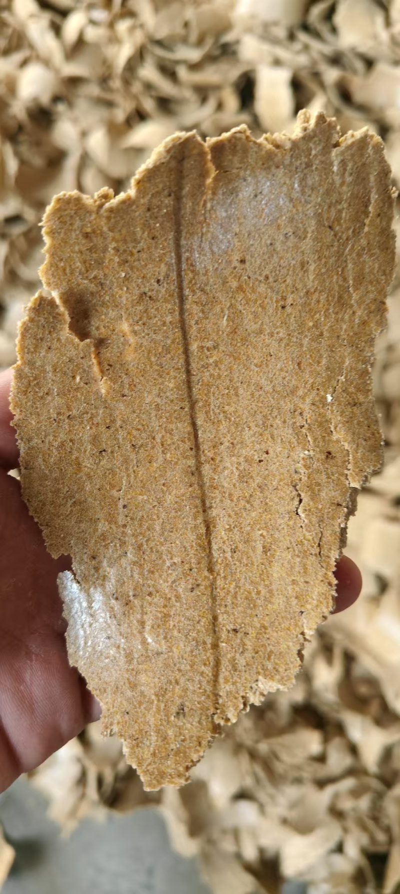 高温，豆饼，油脂20个，蛋白40个，
