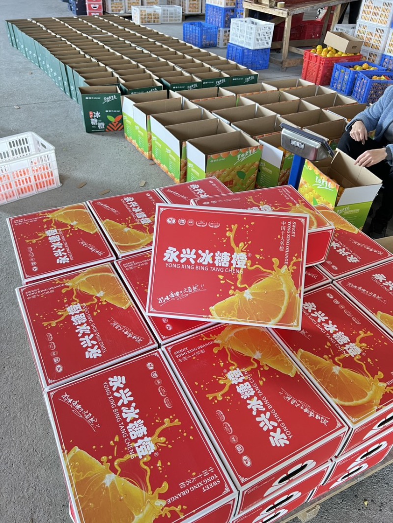 永兴冰糖橙