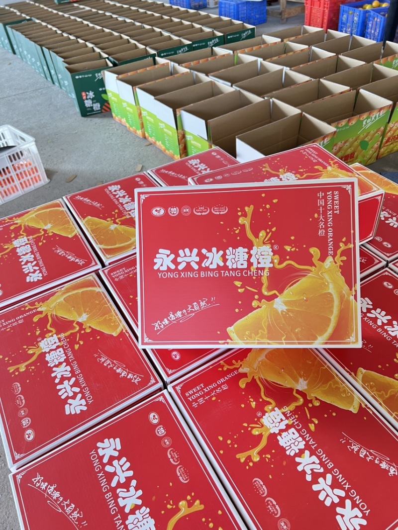 永兴冰糖橙