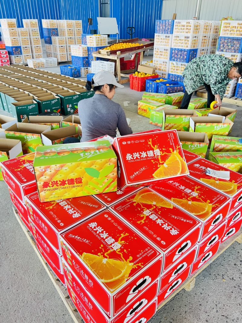 永兴冰糖橙