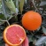 中华红红橙大量上市果园直供诚信经营全国发货欢迎来电咨询