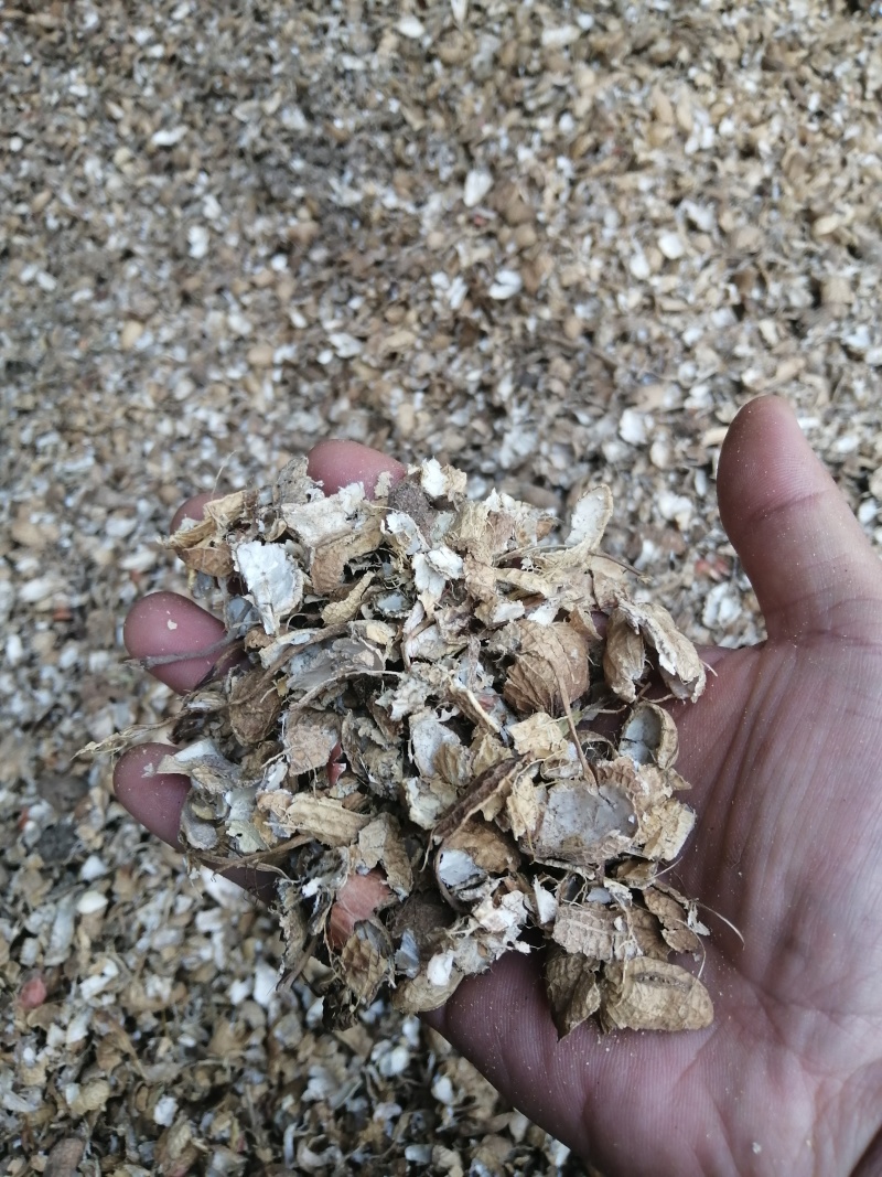 新花生壳，颜色漂亮，适合种植，肥料，菌类种植等大量供应。