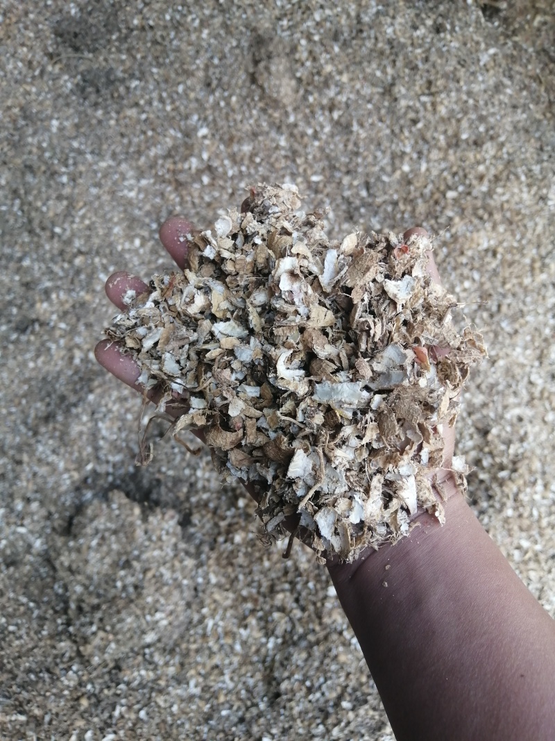 新花生壳，颜色漂亮，适合种植，肥料，菌类种植等大量供应。