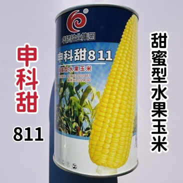 申科甜811甜玉米种子早熟大棒水果玉米种子生吃鲜食玉米种