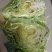 牛心菜