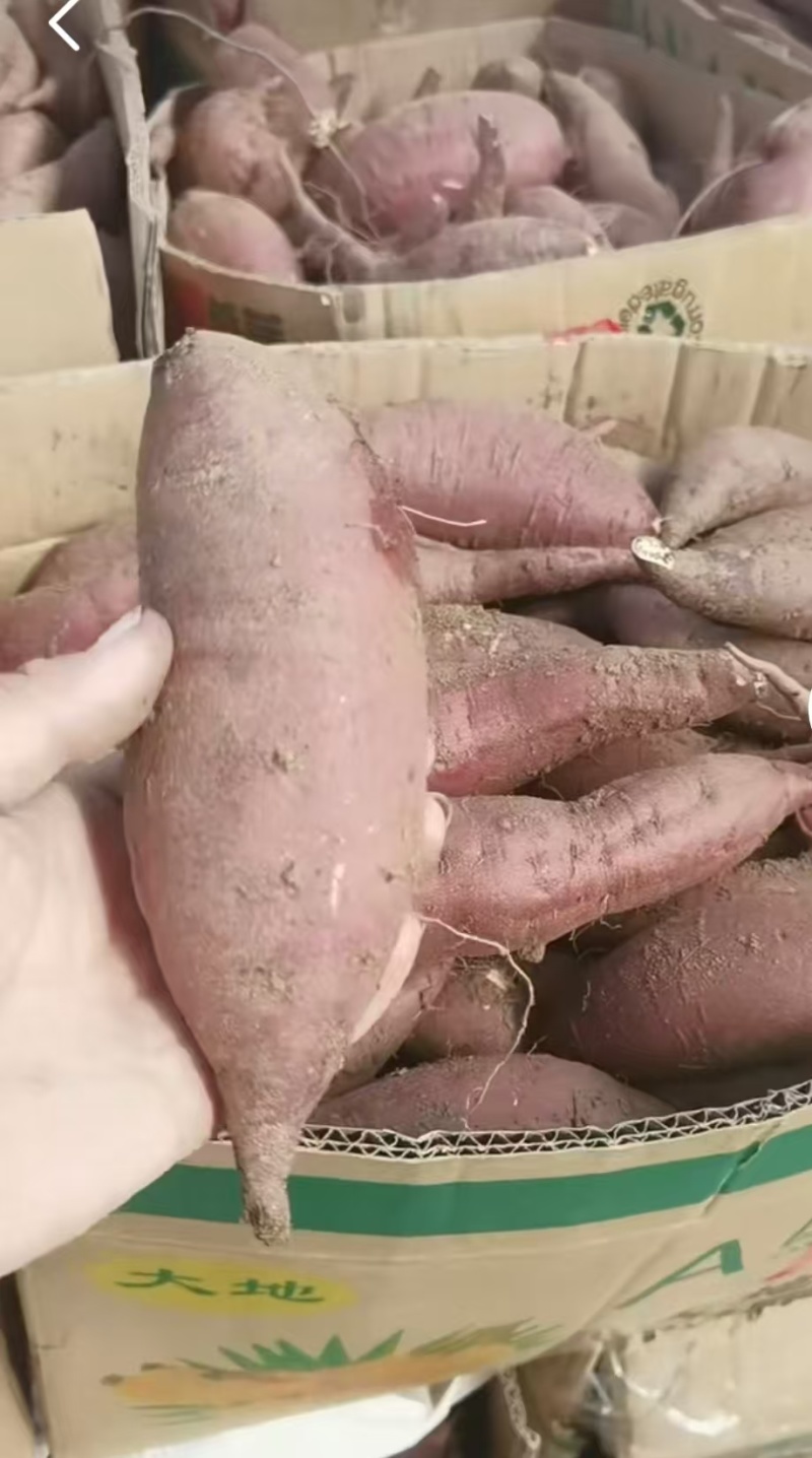 丝滑榴莲蜜薯