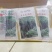 亮长黑满地黑皮冬瓜种子全国发货量大从优