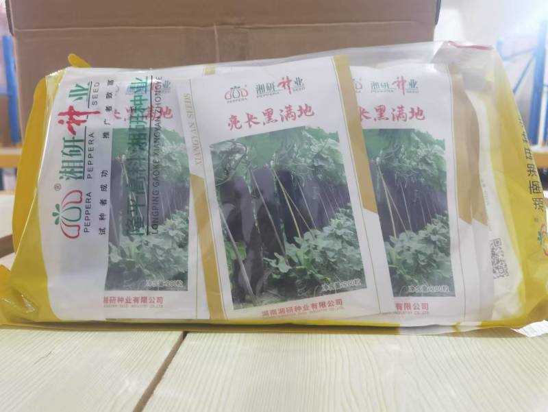 亮长黑满地黑皮冬瓜种子全国发货量大从优