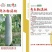 亮长粉满地粉皮冬瓜种子全国发货量大从优
