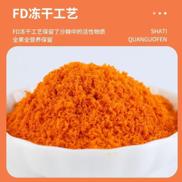 【热卖】棘全果冻干粉二百克/罐配料表只有沙棘不提籽不提油