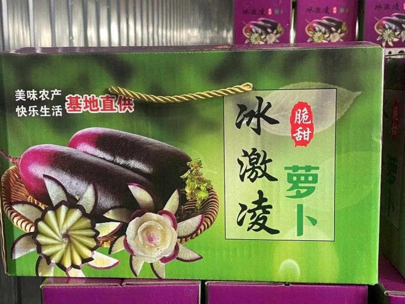 口感型萝卜潍坊水果萝卜冰激凌萝卜大量现货供多类市场
