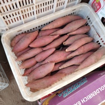 河北西瓜红红薯产地直发一手货源品质保障欢迎咨询