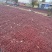 新疆红枣阿克苏灰枣大量有货产地直发对接电商市场等