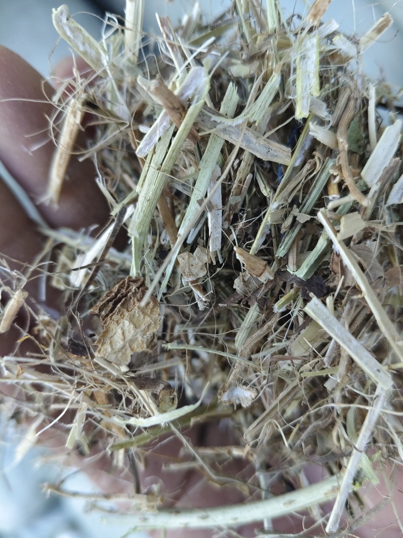 花生秧