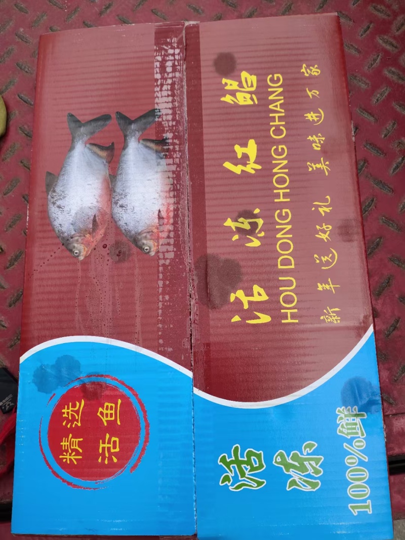 大个红鲳鱼，鲜活速冻无冰衣，3，4，5，6条