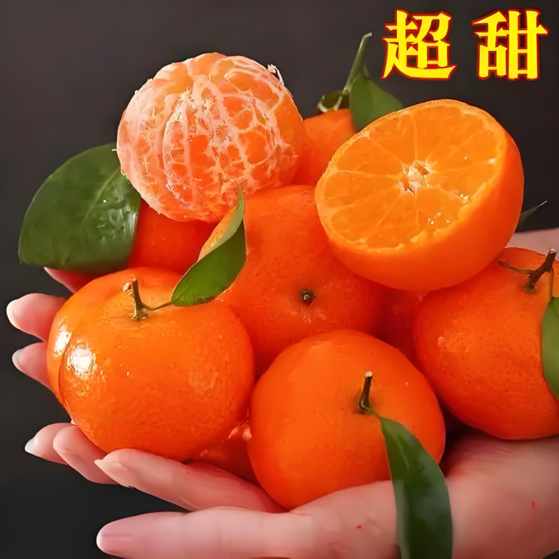 （一件代发）广西砂糖橘对接主播社区团长抖音拼多多淘工厂