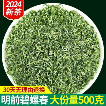 碧螺春2024新茶叶绿茶叶明前浓香型耐泡绿茶罐装