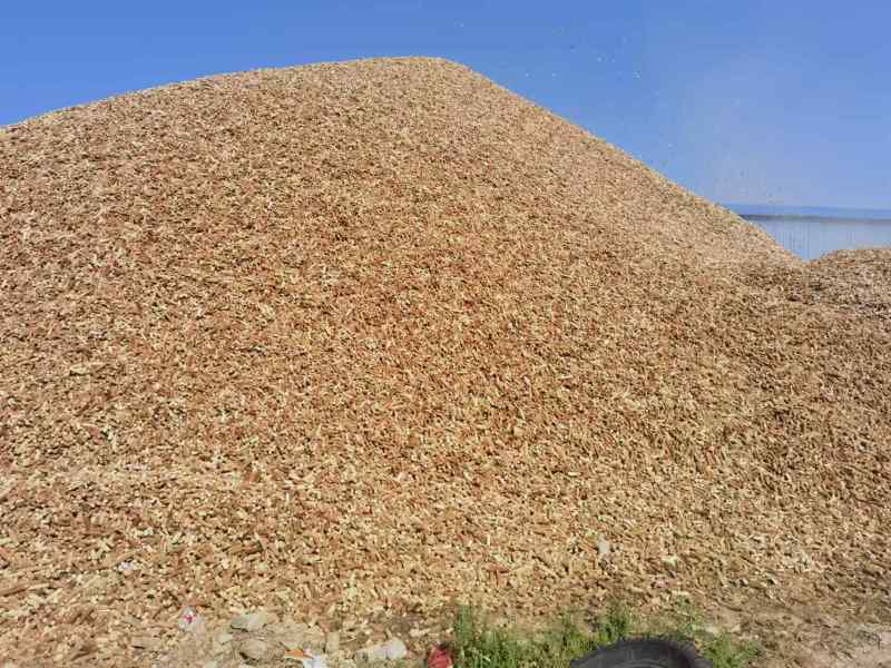 河南精品玉米芯产地直发品质保证量大从优一手货源欢迎联系