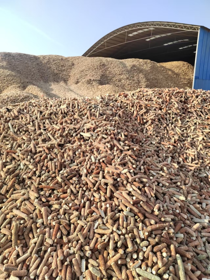 河南精品玉米芯产地直发品质保证量大从优一手货源欢迎联系