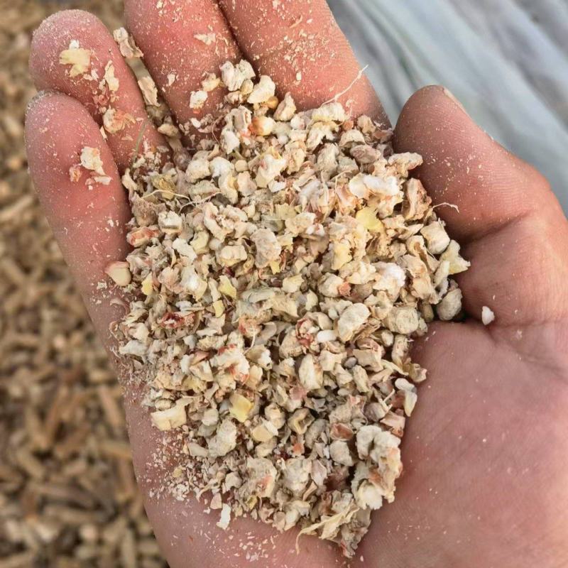 精品玉米芯厂家直发品质保证量大从优一手货源欢迎联系