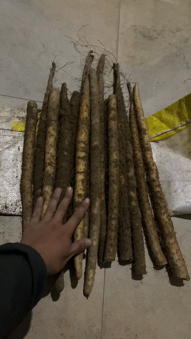 北方之家-电商社区团购商超市场供应铁棍山药