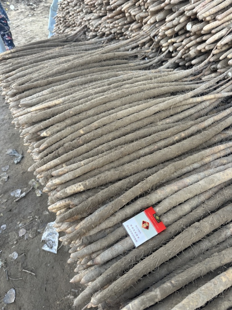 北方之家-电商社区团购商超市场供应铁棍山药