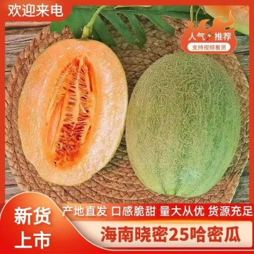 海南（晓蜜25）大量上市：海沙地瓜糖度高皮薄肉红
