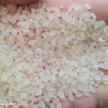 22年东北珍珠米（沈阳、盘锦发货）