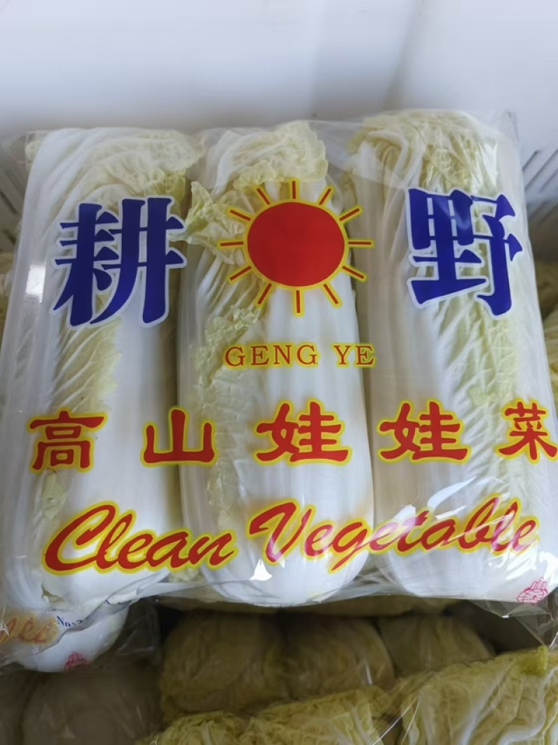 【协助装车】小娃娃菜袋装散装都可以按需发货欢迎讨价还价