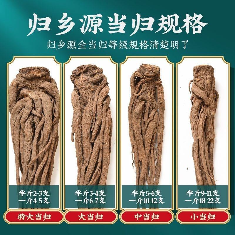当归甘肃正宗岷县无硫磺干货批发可切片可配特级煲汤泡水不是