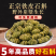 正宗霍山铁皮石斛5年崖壁生长铁皮枫斗颗粒干石斛铁皮石斛