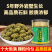 正宗霍山铁皮石斛5年崖壁生长铁皮枫斗颗粒干石斛铁皮石斛