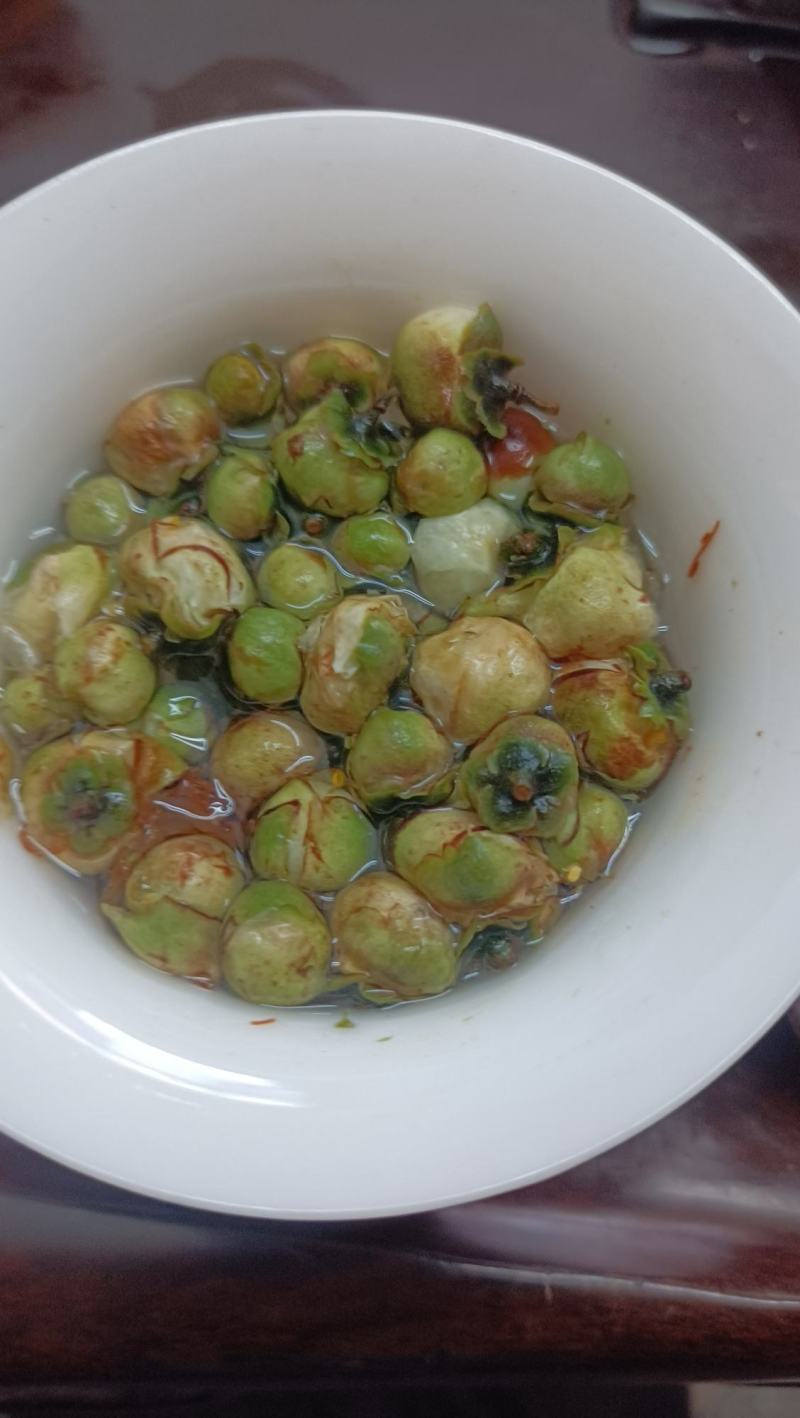 福鼎荒野老丛白茶花