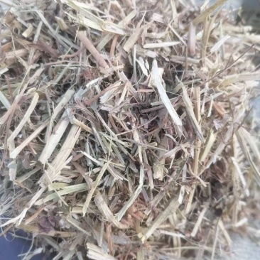 一级花生秧牛羊草无土无膜，无霉变，质量保证