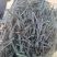 一级花生秧牛羊草无土无膜，无霉变，质量保证