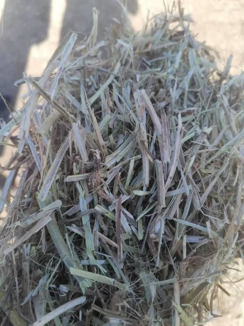 一级花生秧牛羊草无土无膜，无霉变，质量保证