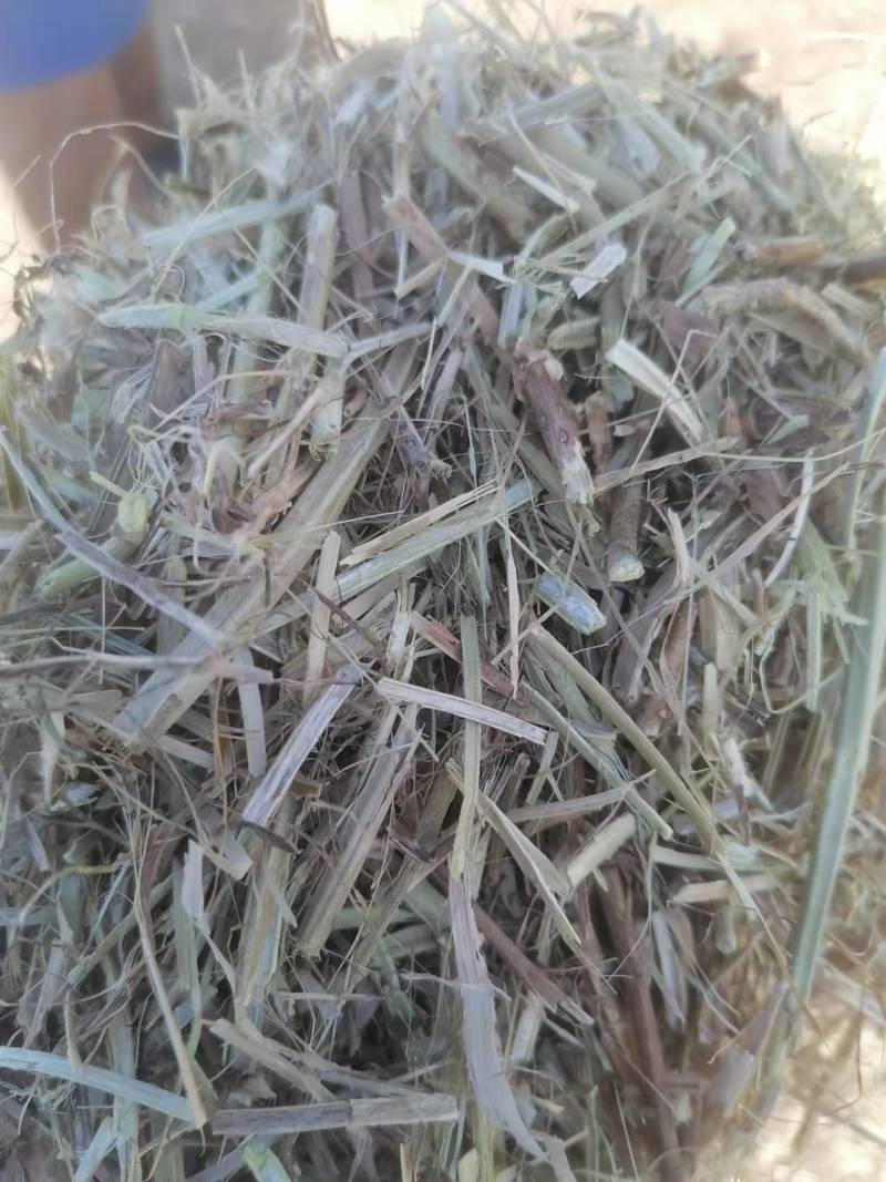一级花生秧牛羊草无土无膜，无霉变，质量保证