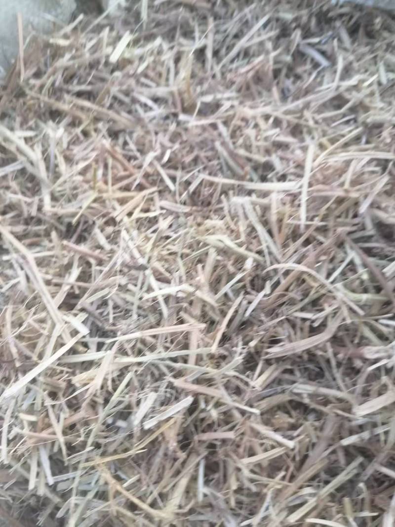 一级花生秧牛羊草无土无膜，无霉变，质量保证
