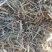 一级花生秧牛羊草无土无膜，无霉变，质量保证
