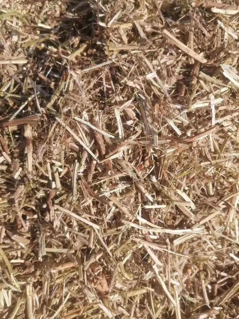 一级花生秧牛羊草无土无膜，无霉变，质量保证