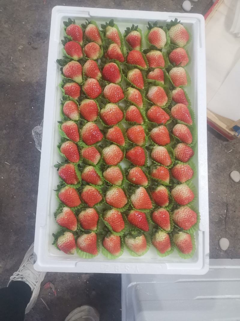 草莓奶油天仙醉