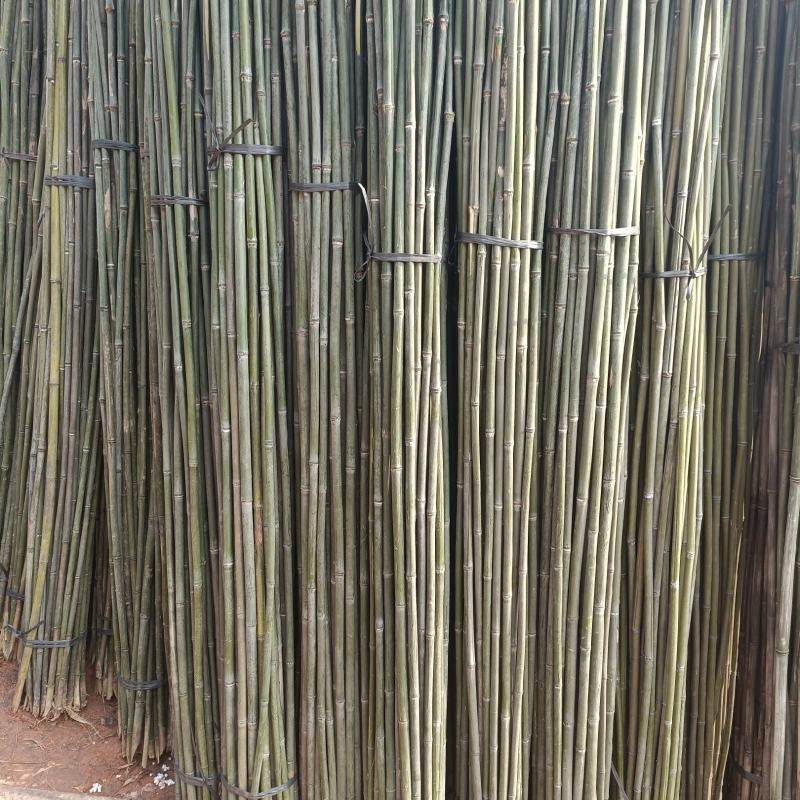 菜架竹豆角架茄子西红柿黄瓜圣女果百香果专用竹竿