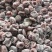 霜降柿饼广西桂林吊饼优质柿子饼源头加工厂柿饼基地霜柿饼子