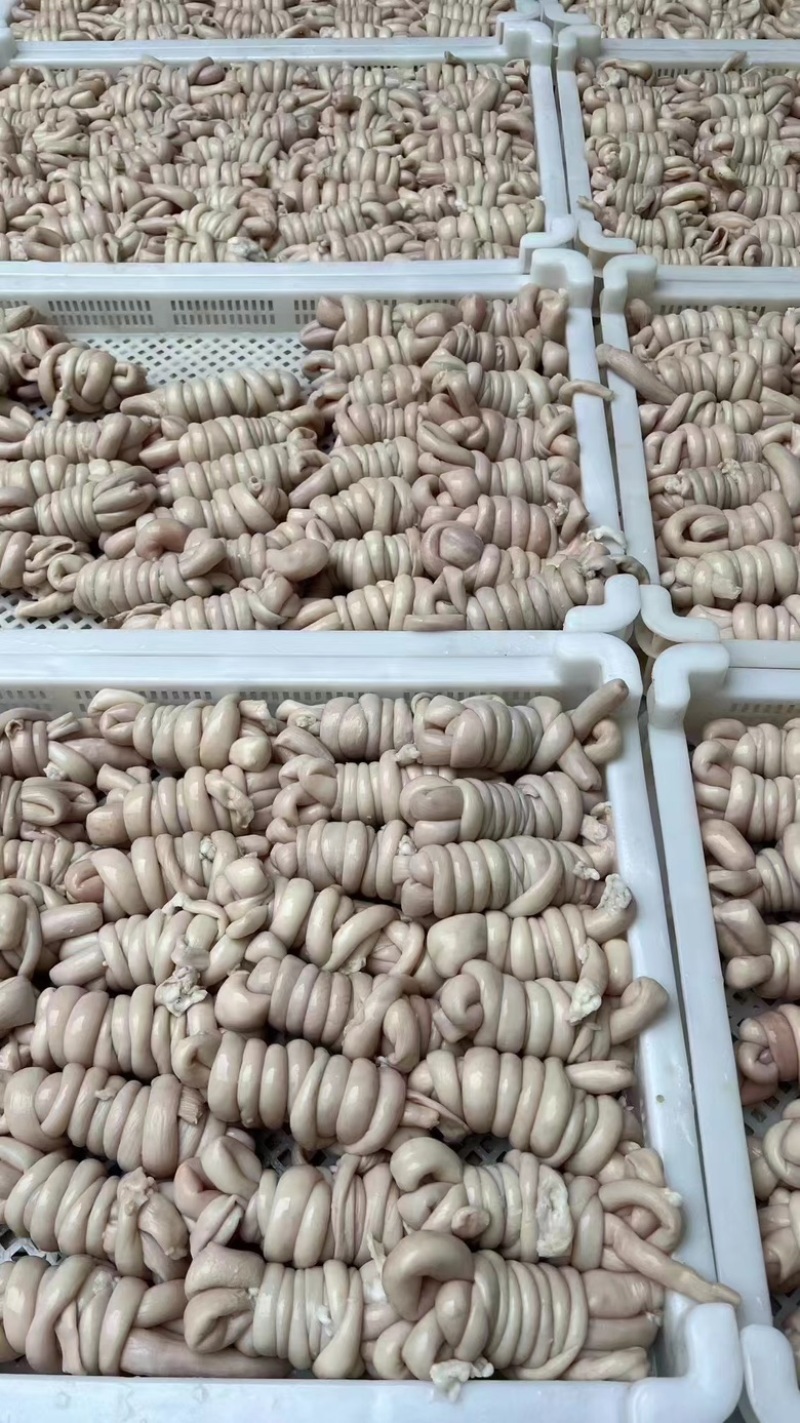 【精品羊捆肠】少油羊捆肠，放心食用品质保障欢迎进店下单