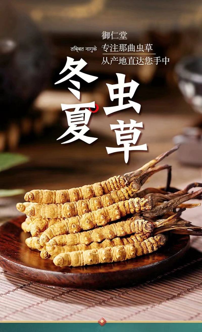 正品西藏那曲冬虫夏草，精品虫草品质保证欢迎咨询订购